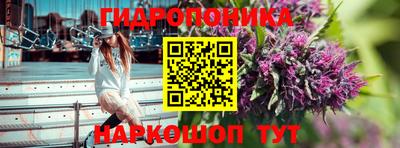 крисы Ипатово