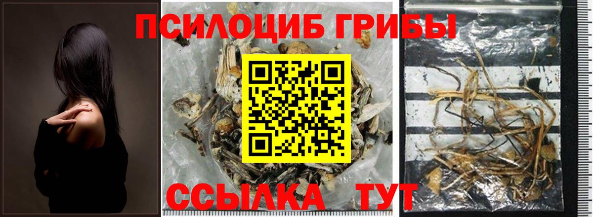 Лангепас  Галлюциногенные грибы Psilocybe  Вход с VPN  Псилоцибиновые грибы Cubensis 